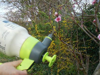 Test du Kit Pure Hozelock Test du Kit Pure Hozelock