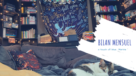 [Bilan mensuel] • Février • 2019/02