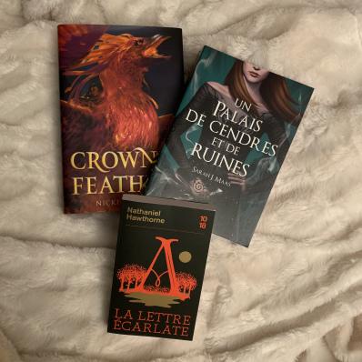 [Bilan mensuel] • Février • 2019/02