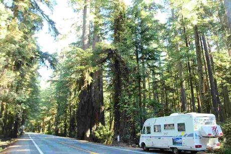 Pays Etranger- L'amérique - L'Orégon - 1