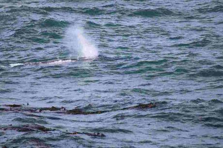Pays Etranger- L'amérique - L'Orégon - 1