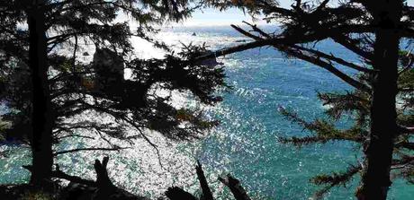 Pays Etranger- L'amérique - L'Orégon - 1