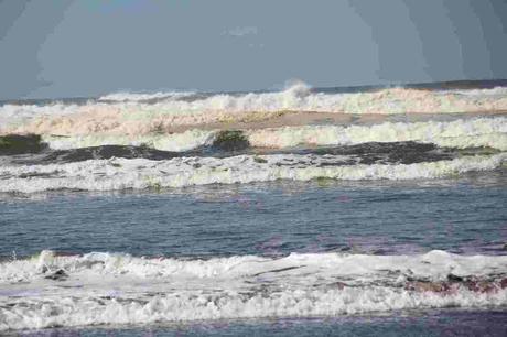 Pays Etranger- L'amérique - L'Orégon - 1