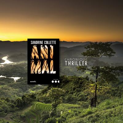Animal - Sandrine Collette