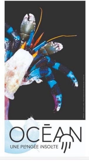 Exposition : Océan, une plongée insolite au Muséum national d’Histoire naturelle