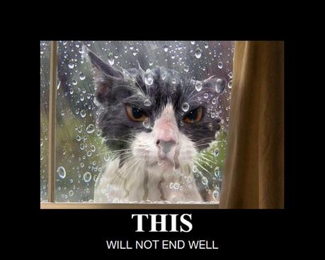 France : une ZAD à l’échelle d’un pays