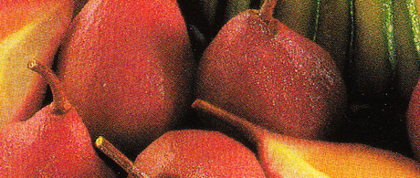 Charlotte de dindonneau aux poires