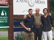 Zayat aroma essentiels