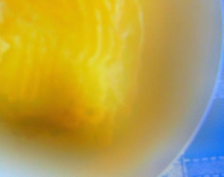 Pâté chinois au jackfruit et au frauxmage en crotte végétal Pâté chinois au jackfruit et au frauxmage en crotte végétal