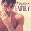 Perfect bad boy de Lena K. Summers
