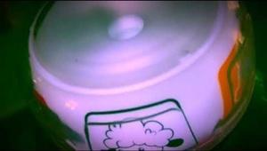 Plus de poisson ! Plus de poisson !