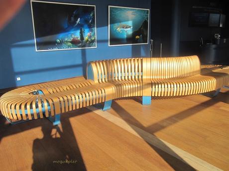 La France - L'Aquarium de La Rochelle - 1