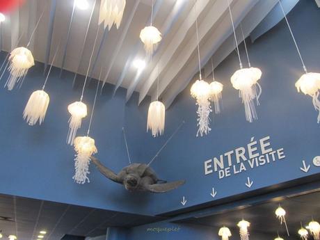 La France - L'Aquarium de La Rochelle - 1