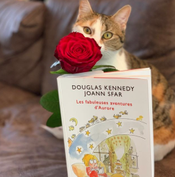 [Bilan mensuel] • Mars • 2019/03