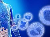 MICROBIOTE INTESTINAL module l'efficacité traitement Parkinson