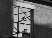 Nastassja Kinsky hommage