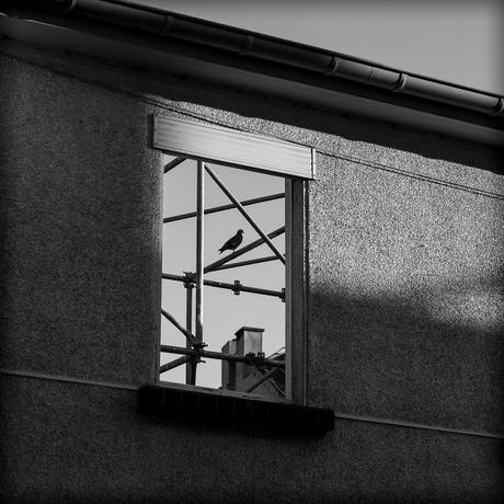 Nastassja Kinsky - un hommage