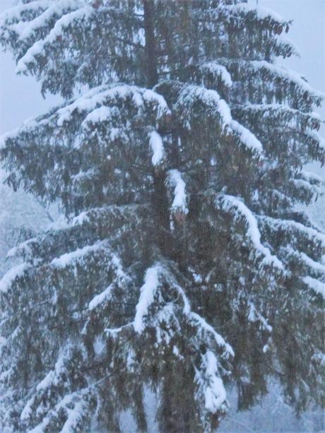La France - Le temps La France - Le temps