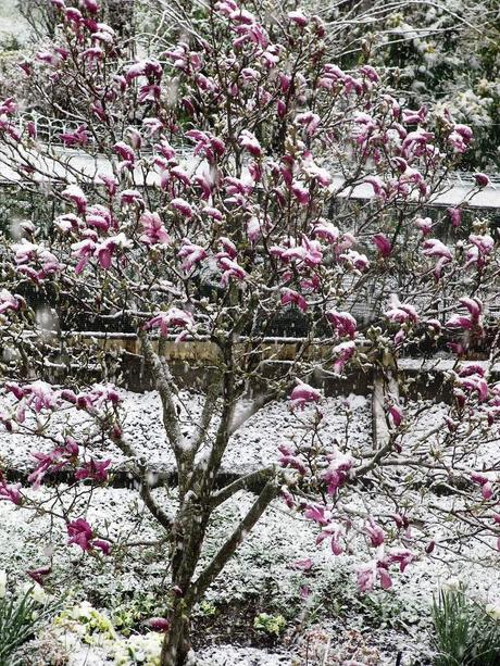 La France - Le temps La France - Le temps