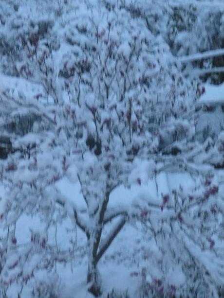 La France - Le temps La France - Le temps