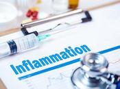 INFLAMMATION modèle cellulaire pour l’empêcher devenir chronique