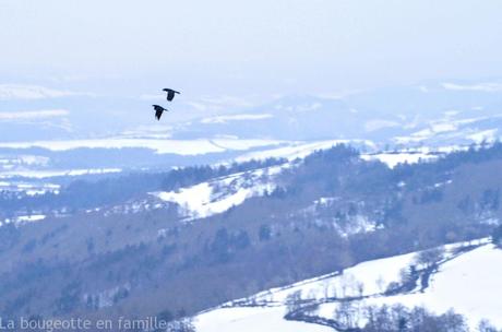 Visiter les parcs animaliers de la Lozère avec les enfants Visiter les parcs animaliers de la Lozère avec les enfants