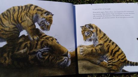 Petits Tigres – Jo Weaver