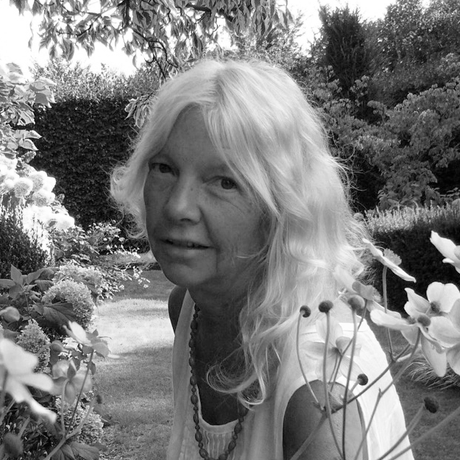 Les nouvelles enquêtes de Nestor Burma - Crime dans les Marolles    -  Nadine Monfils ♥♥♥♥♥