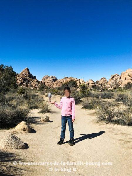 {Joshua Tree} Hidden Valley Nature Trail