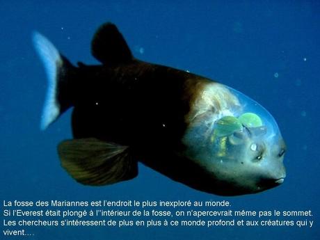 Divers - Phénomènes dans le monde - 2