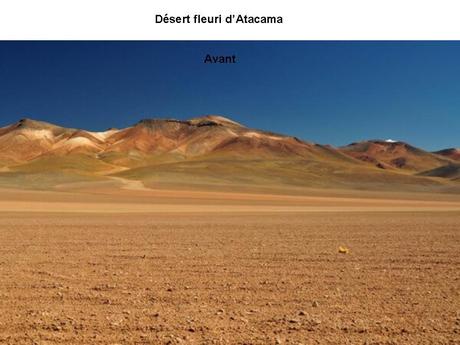 Divers - Phénomènes dans le monde - 2