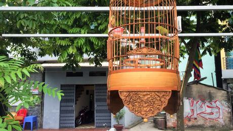 Canh Hoach, le village des cages à oiseaux