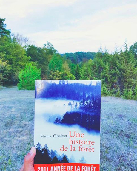 Une histoire de la forêt de Martine Chalvet