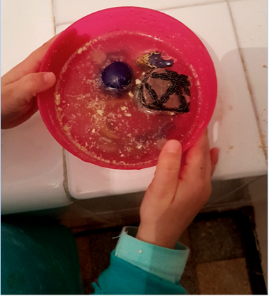 Trésor X : trouver le Trésor avec Asmokids