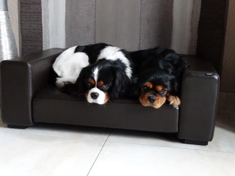 canapé lit canapé lit