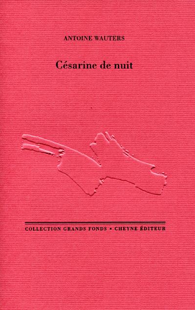 L'enfant des ravines  - Antoine Wauters