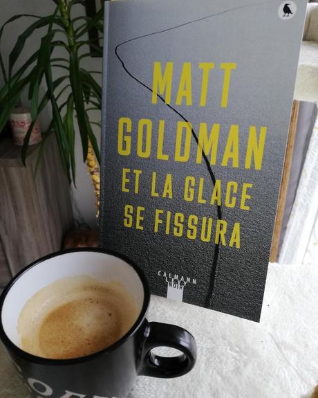 Et la glace se fissura - série Nils Shapiro - 2ème opus - de Matt GOLDMAN