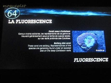 La France - L'Aquarium de La Rochelle - 2