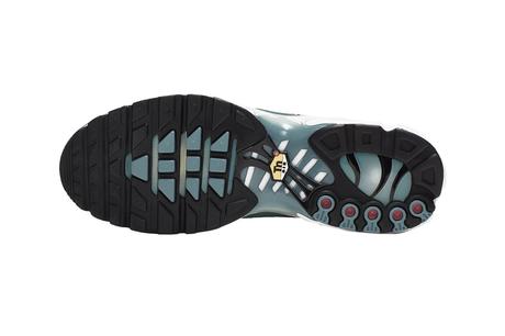 Un Nike Air Max Plus Palm Pack en approche Un Nike Air Max Plus Palm Pack en approche