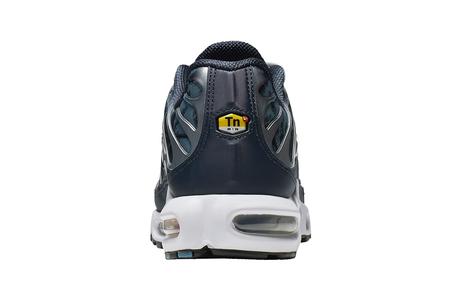 Un Nike Air Max Plus Palm Pack en approche Un Nike Air Max Plus Palm Pack en approche