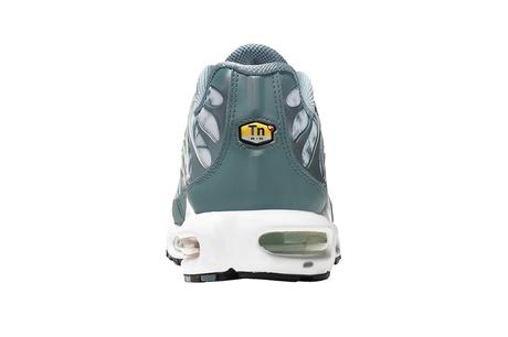 Un Nike Air Max Plus Palm Pack en approche Un Nike Air Max Plus Palm Pack en approche