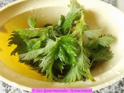 Oseille farcie au sarrasin et sauce aux orties (Vegan)