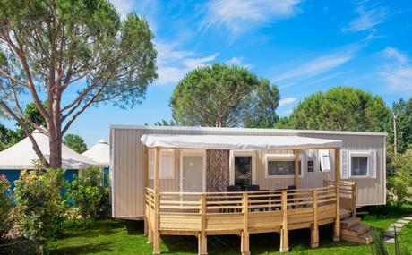 canapé neuf canapé neuf