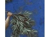 Esquisse pour poème dimanche Rameaux