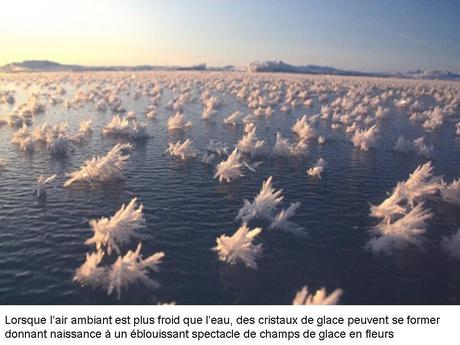 Divers - Phénomènes dans le monde - 3