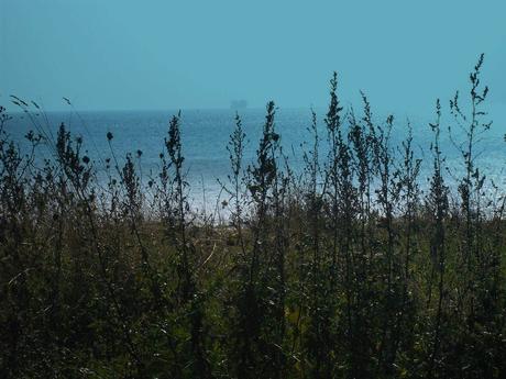 je loue trop de rêves