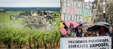 Pesticides : vent de révolte dans le Bordelais