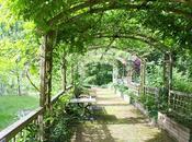 Qu’est-ce qu’une déchiqueteuse bois