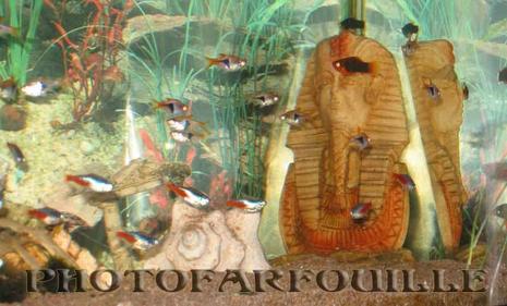 Les missiles iraniens du 14 juillet