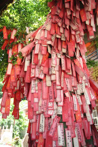 Blog de taiwaninside : Taiwan, vue de l'intérieur, Porte bonheurs attachés à un arbre